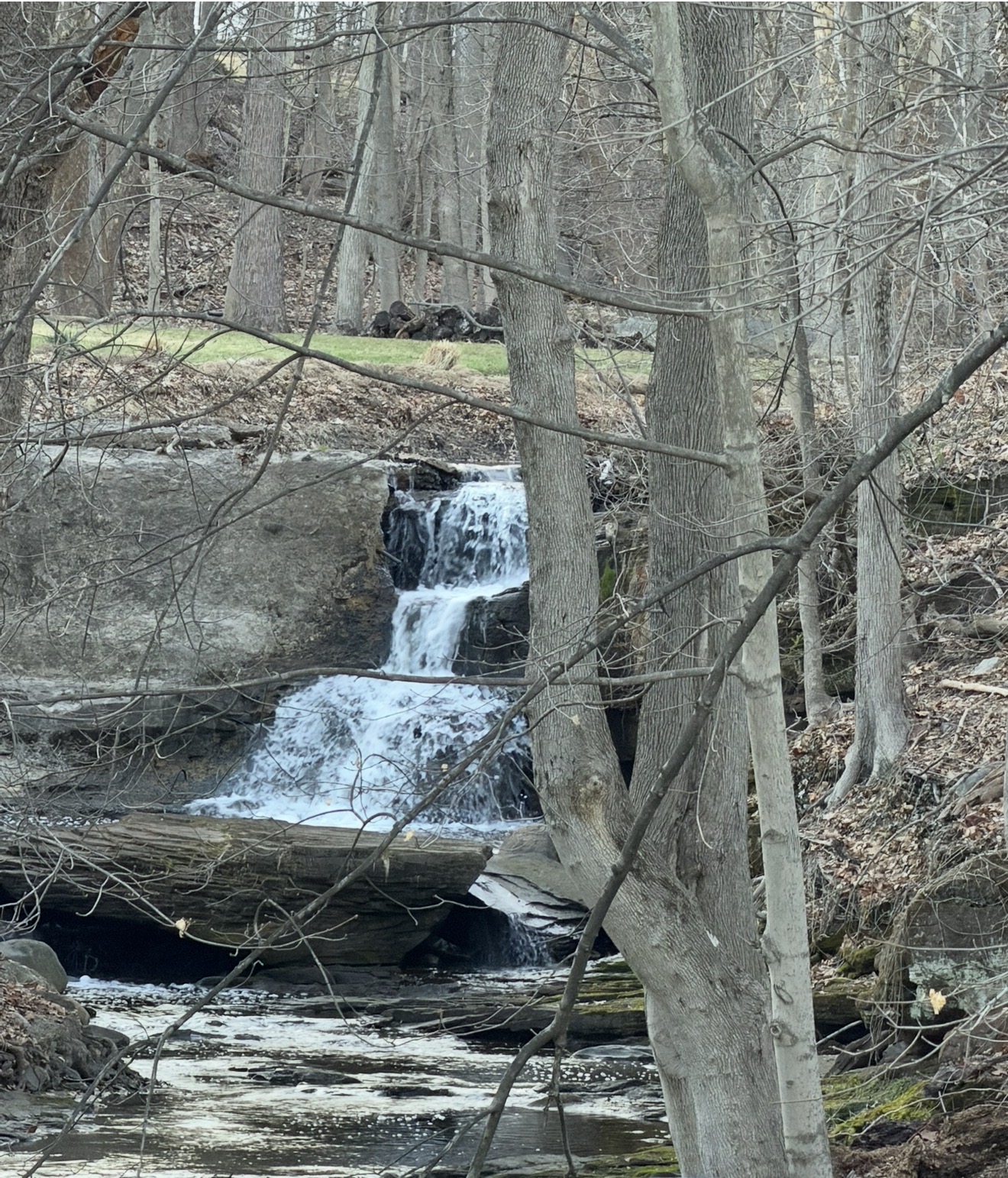 Photography by Miriana - April 9, 2026