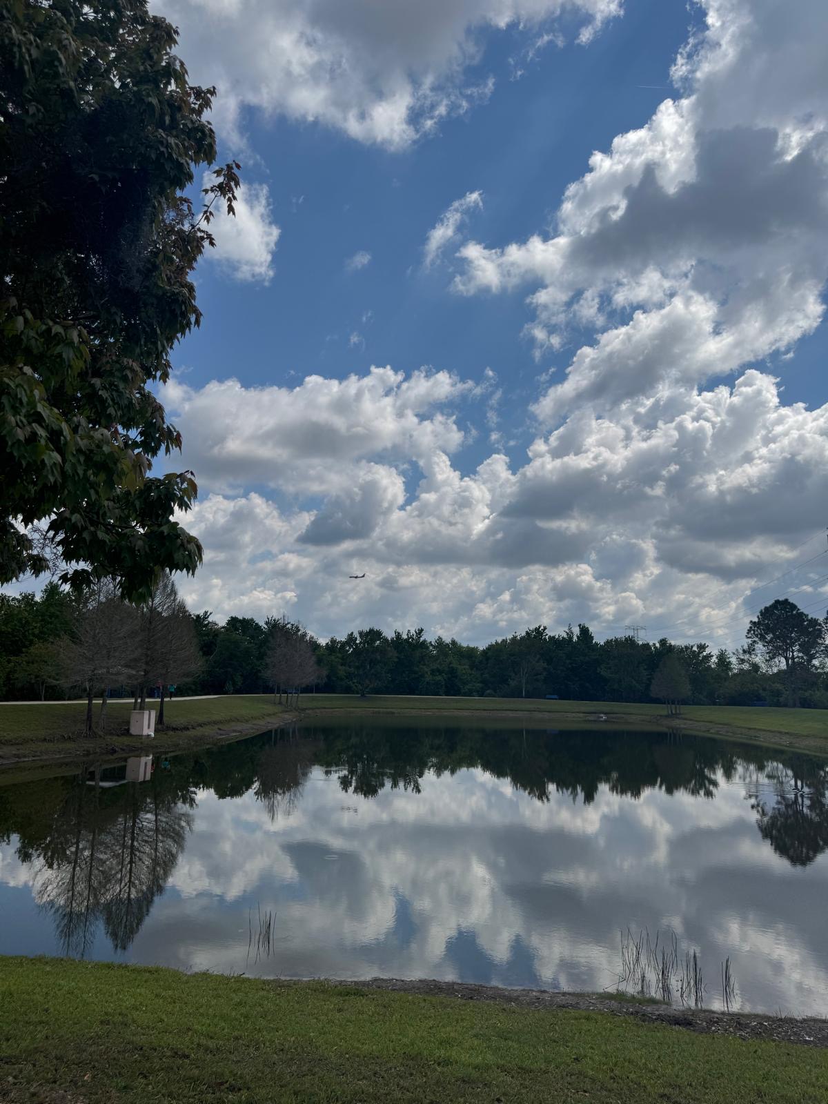 Photography by Miriana - April 9, 2026
