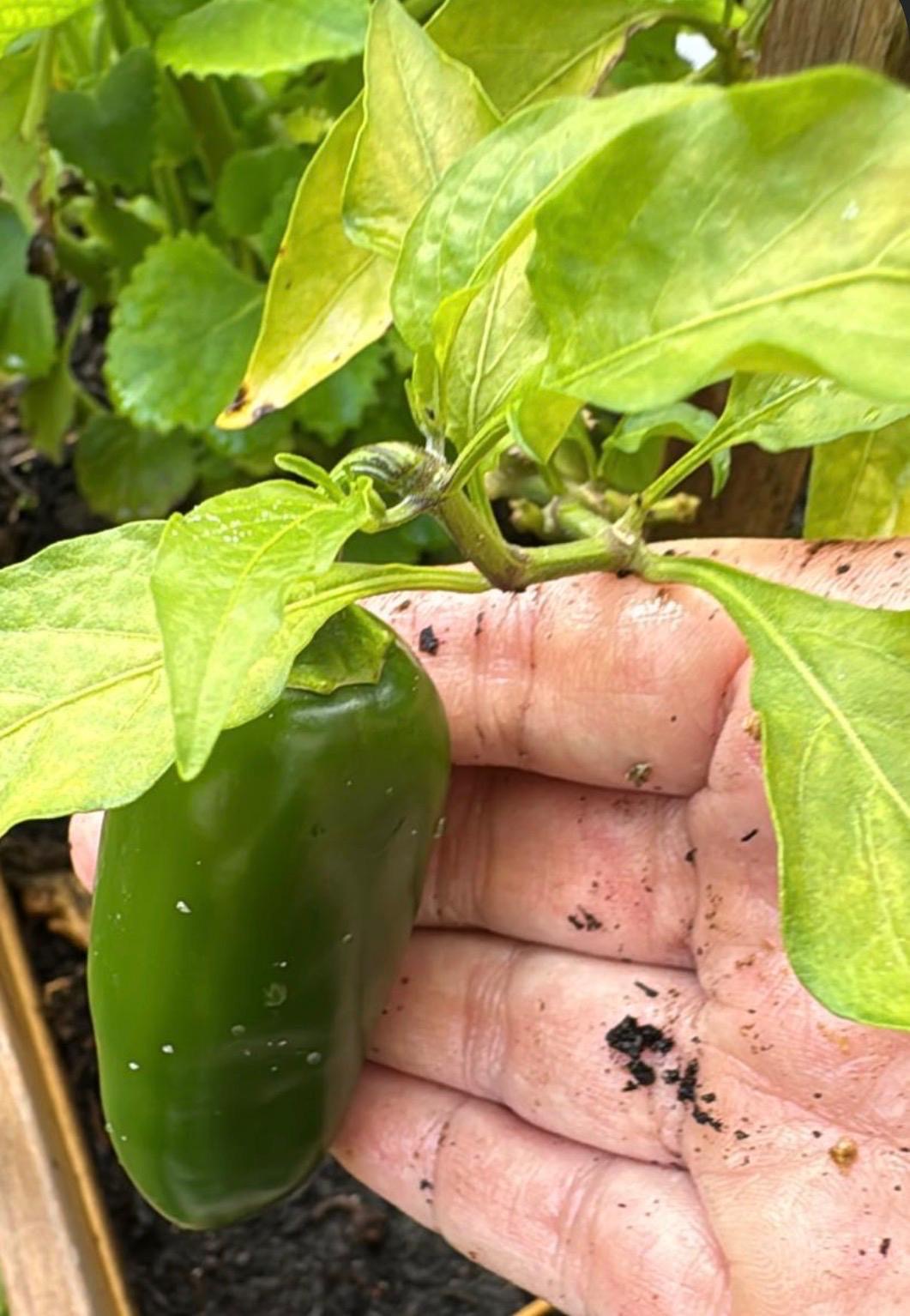 Photography by Miriana - December 1, 2025