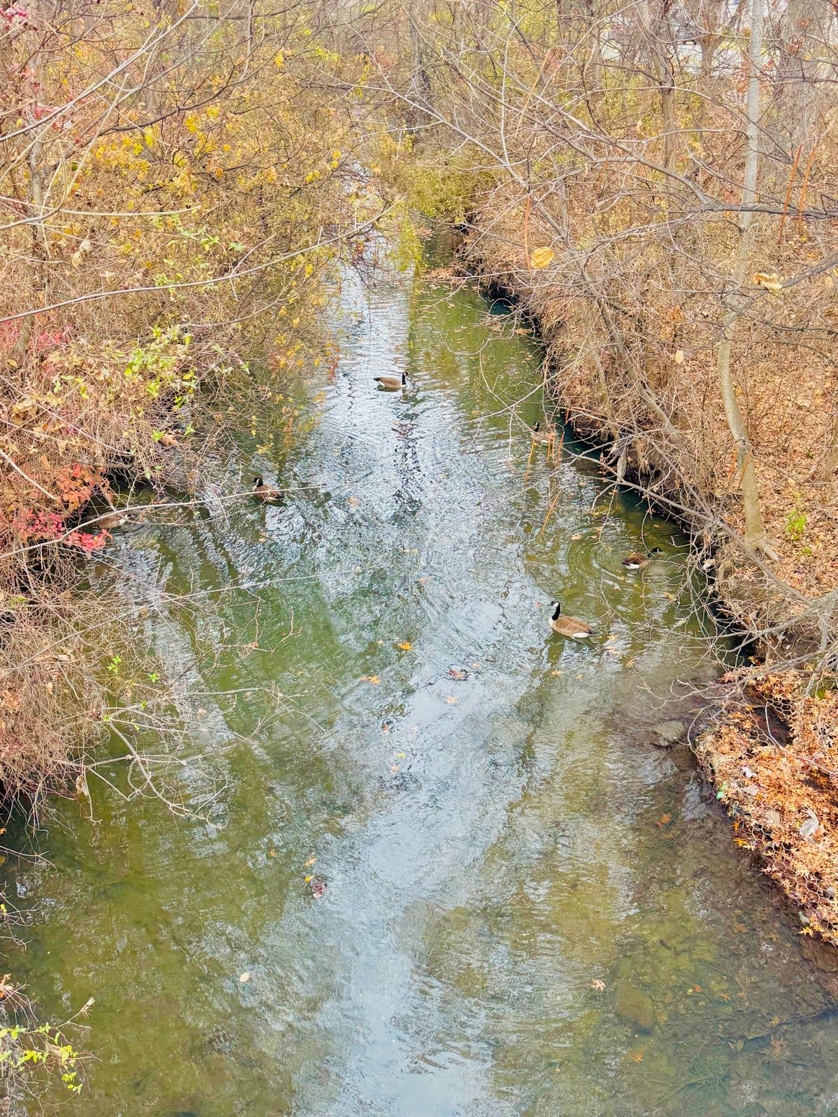 Photography by Miriana - December 1, 2025