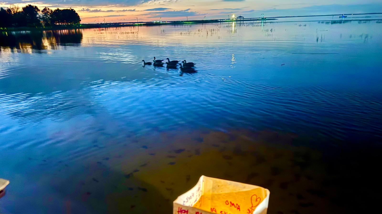 Photography by Miriana - December 1, 2025