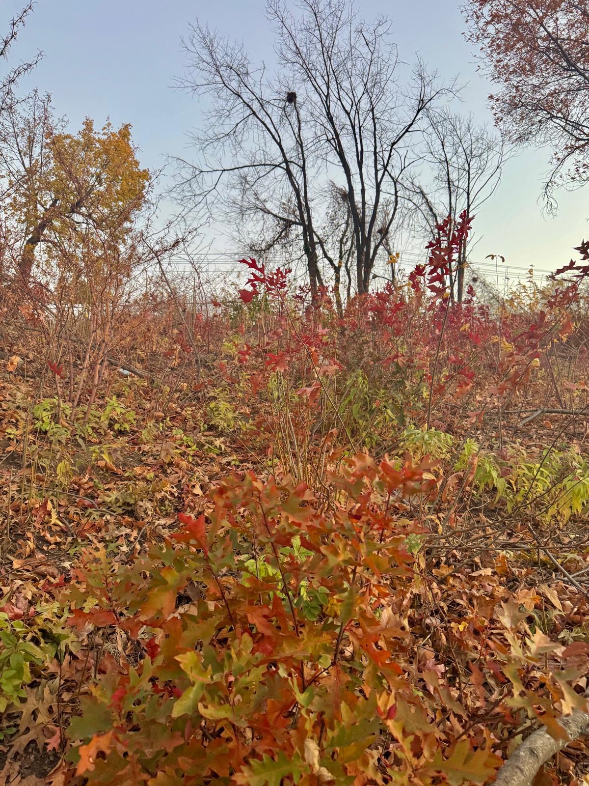 Photography by Miriana - December 1, 2025