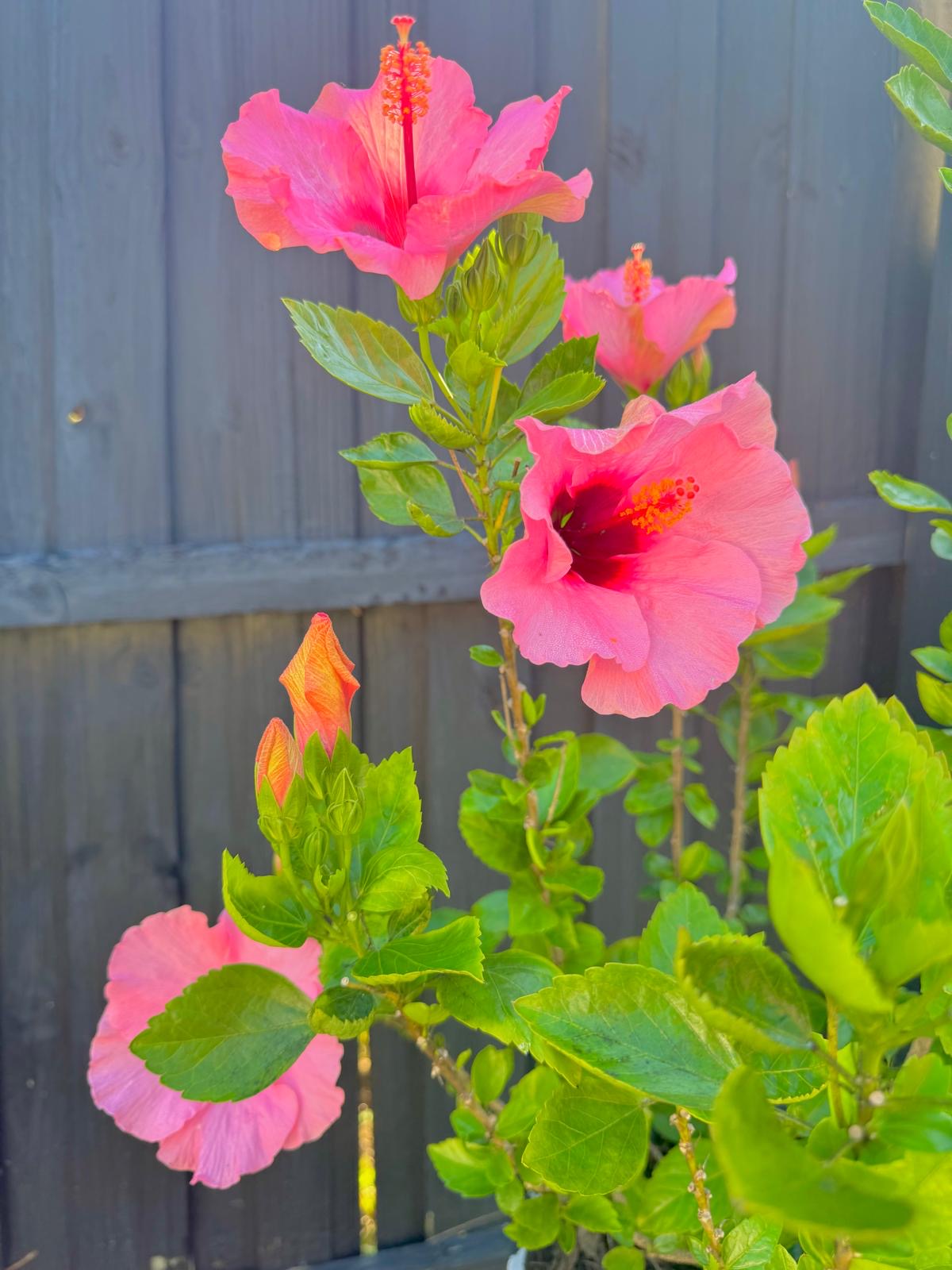 Photography by Miriana - December 1, 2025