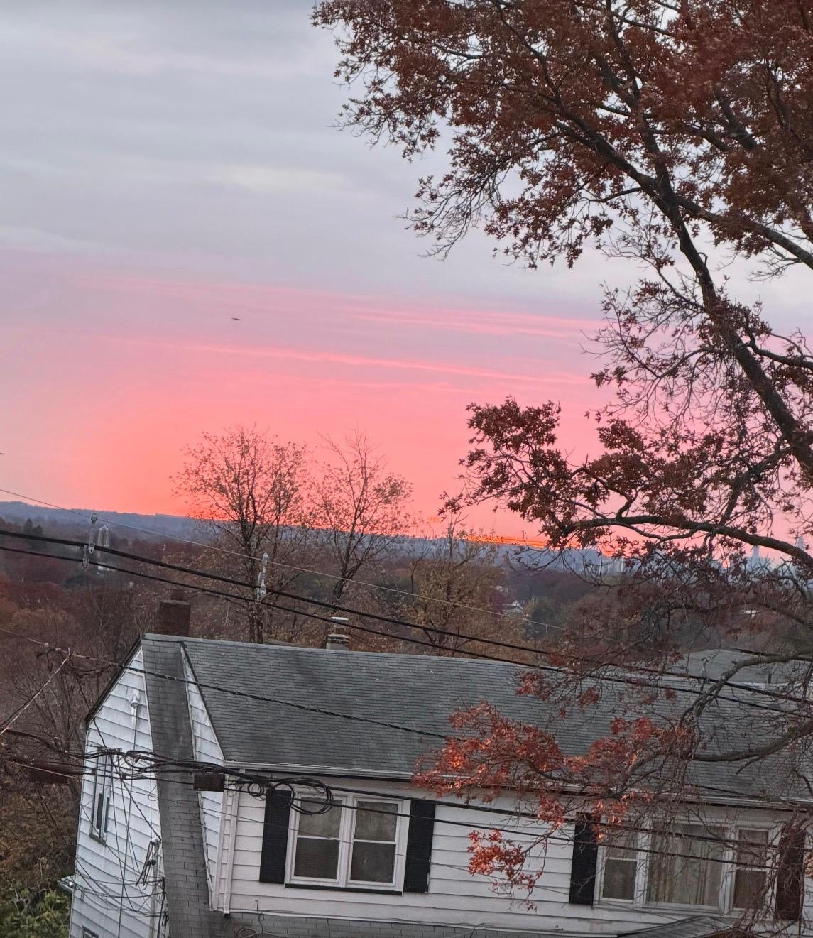 Photography by Miriana - December 1, 2025