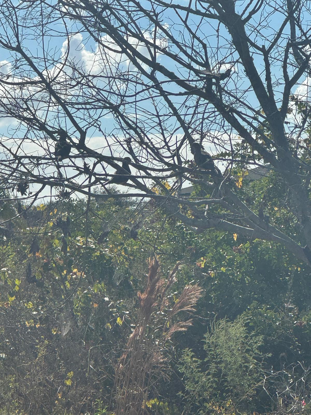 Photography by Miriana - January 9, 2026