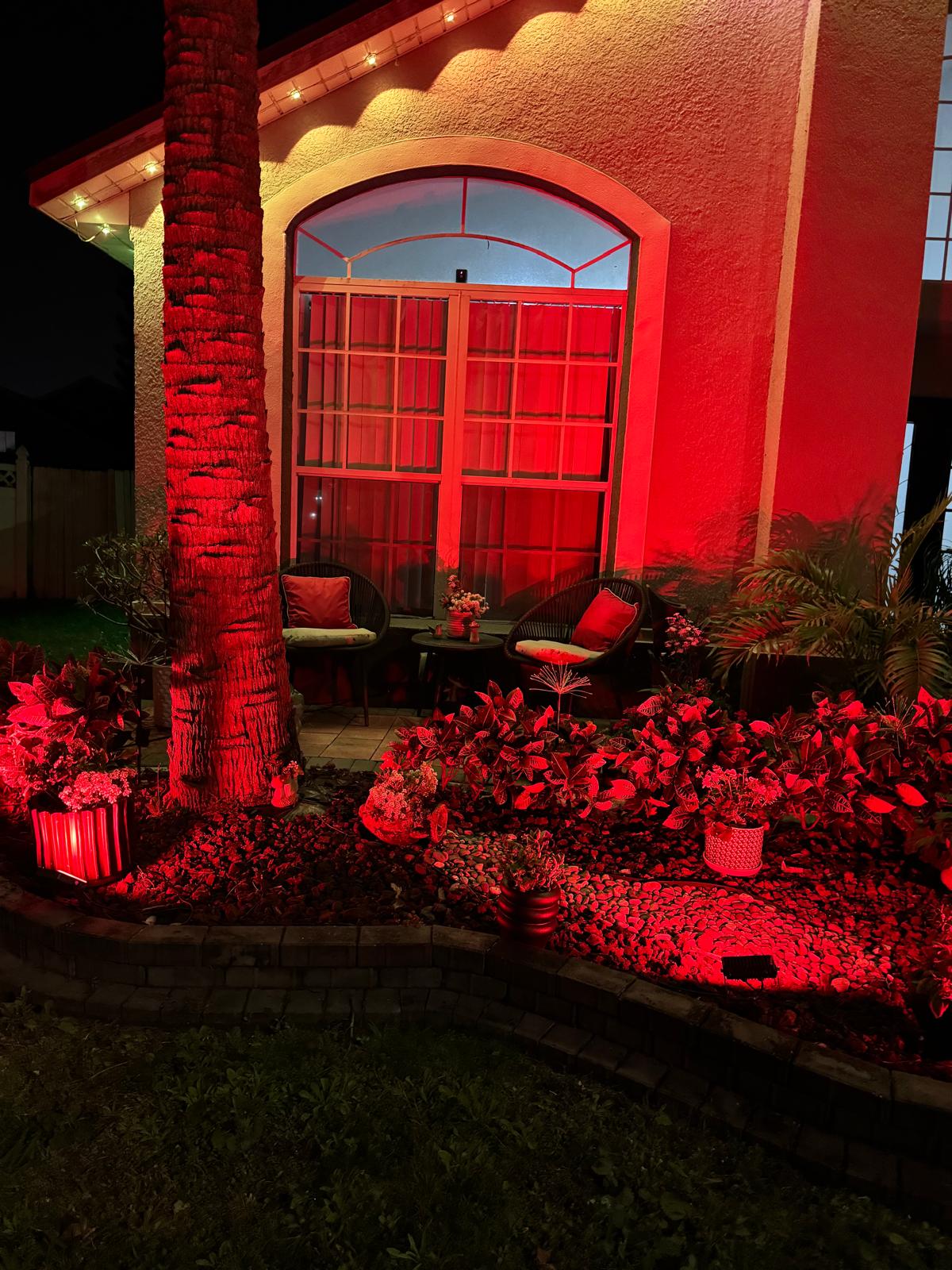 Photography by Miriana - January 12, 2026