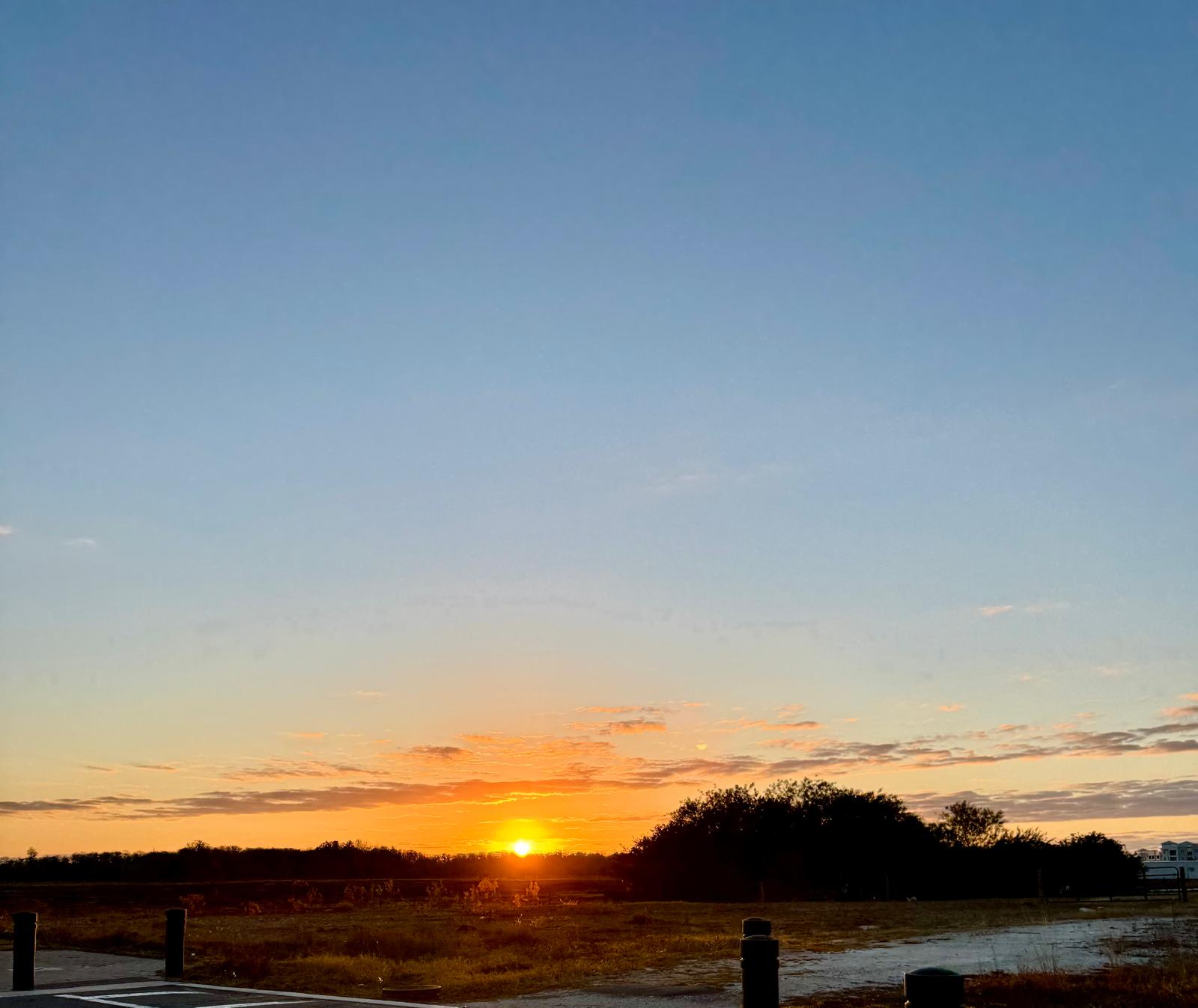 Photography by Miriana - February 6, 2026