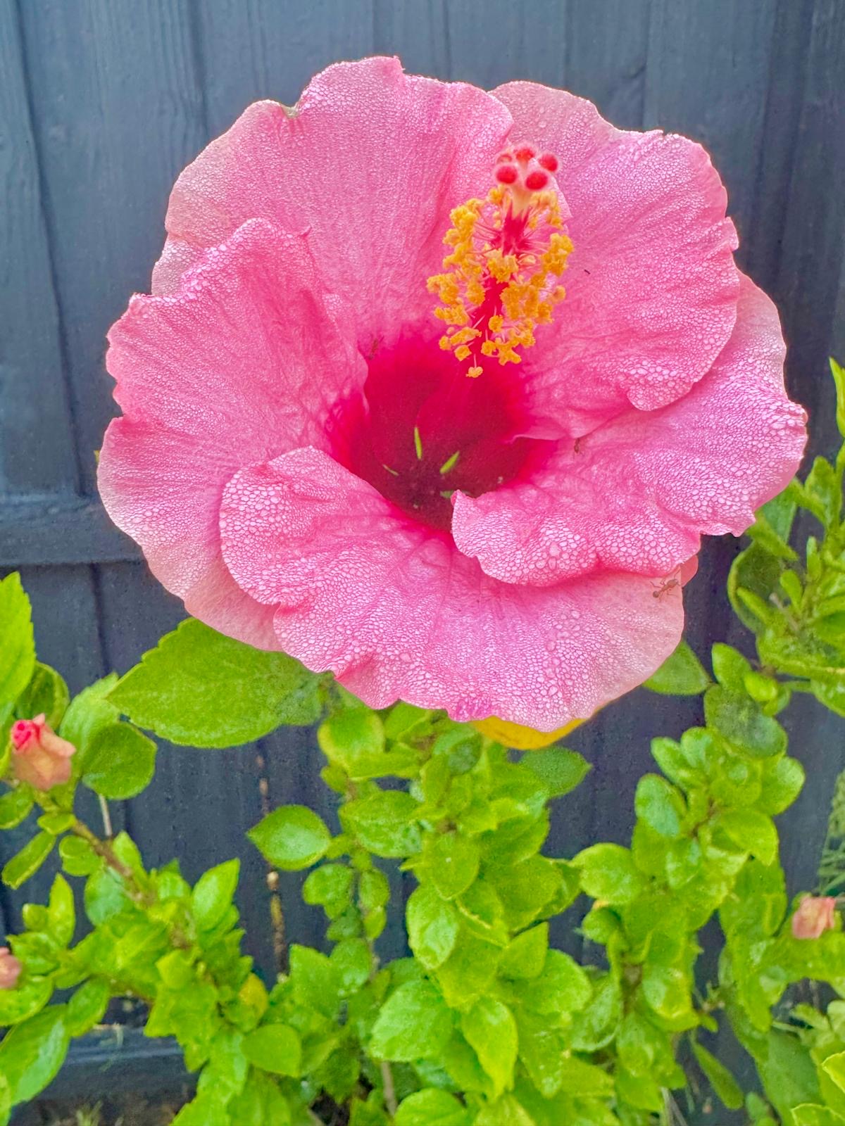 Photography by Miriana - December 1, 2025