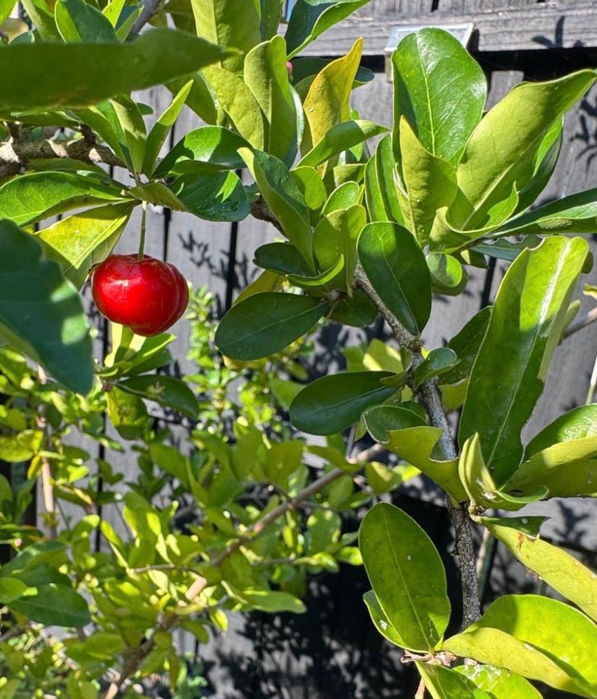 Photography by Miriana - December 1, 2025