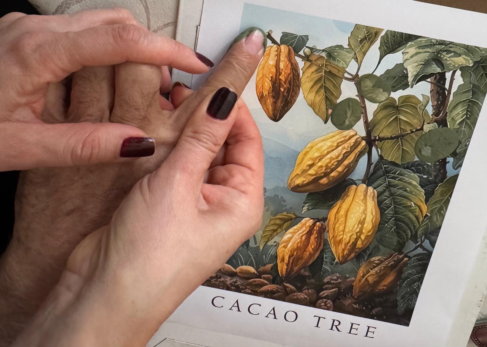 Photography by Miriana - December 1, 2025