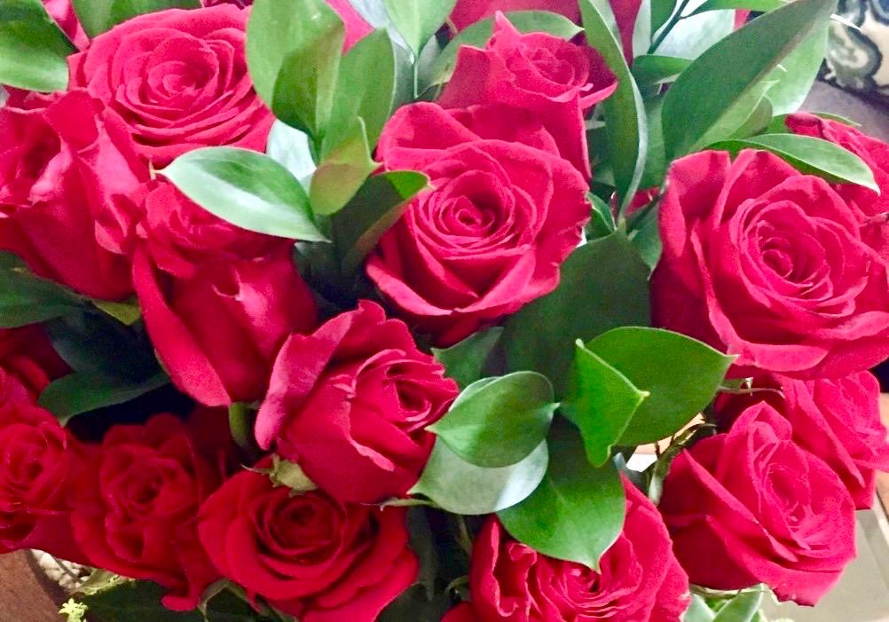 Photography by Miriana - December 1, 2025