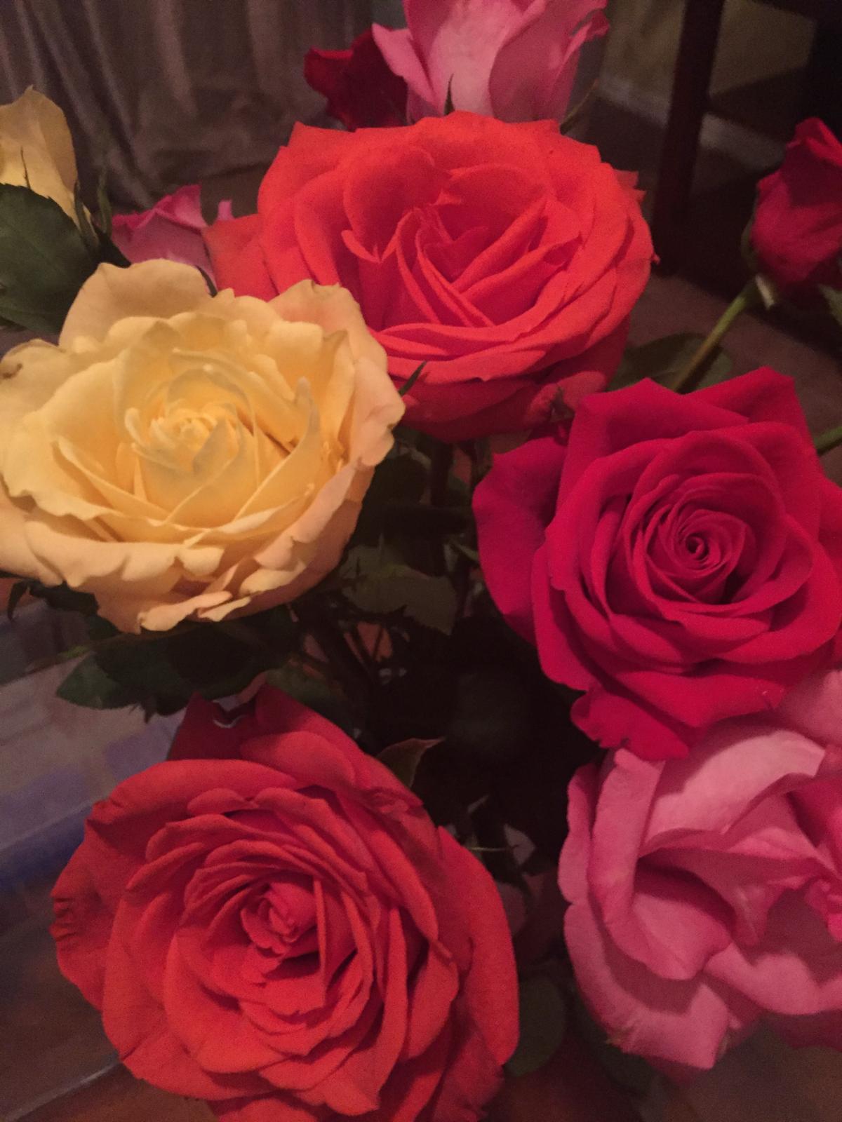 Photography by Miriana - December 1, 2025